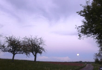 Mondspaziergang 2012